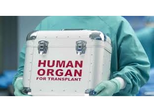 تجارة الاعضاء وعلاقتها بالدرك ويب وتورط الاطفال